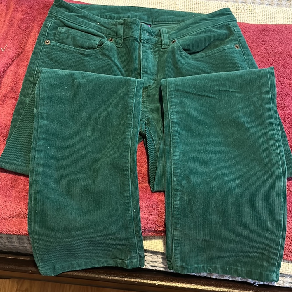 Patagonia (lighter) Green Corduroy pants - Picture 3 of 7